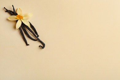 Photo of Flat lay composition with vanilla sticks and flower on color background. Space for text