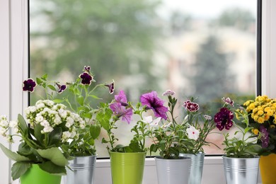 Photo of Different beautiful flowers in pots on windowsill indoors