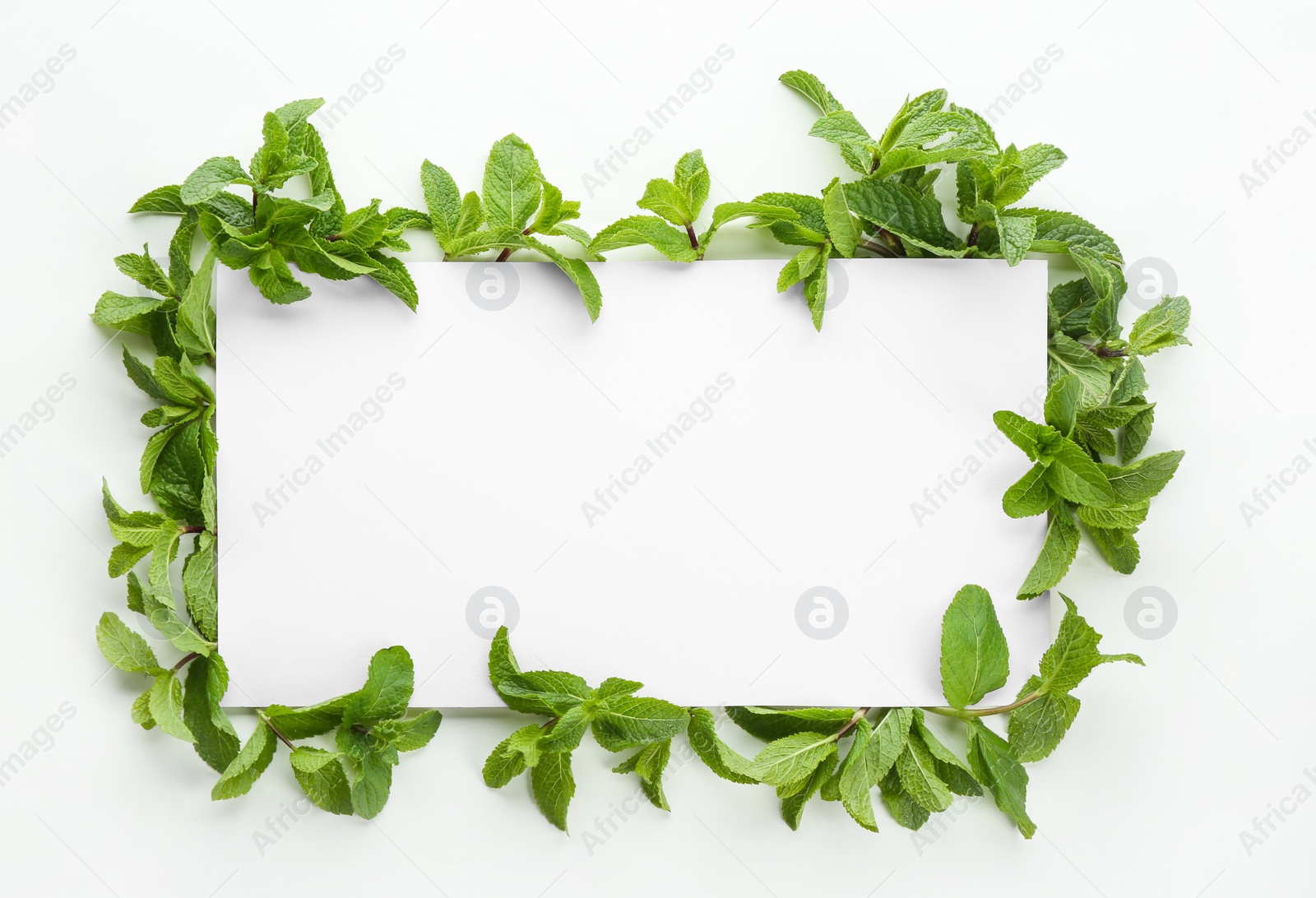 Photo of Blank card and fresh mint leaves on white background