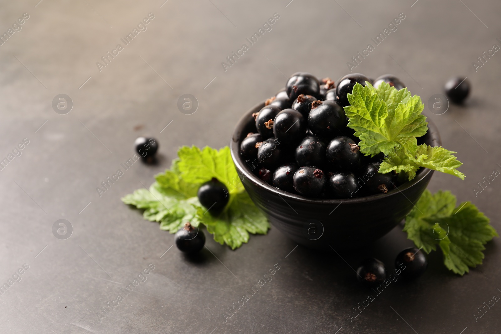 Photo of Ripe blackcurrants and leaves in bowl on grey background. Space for text