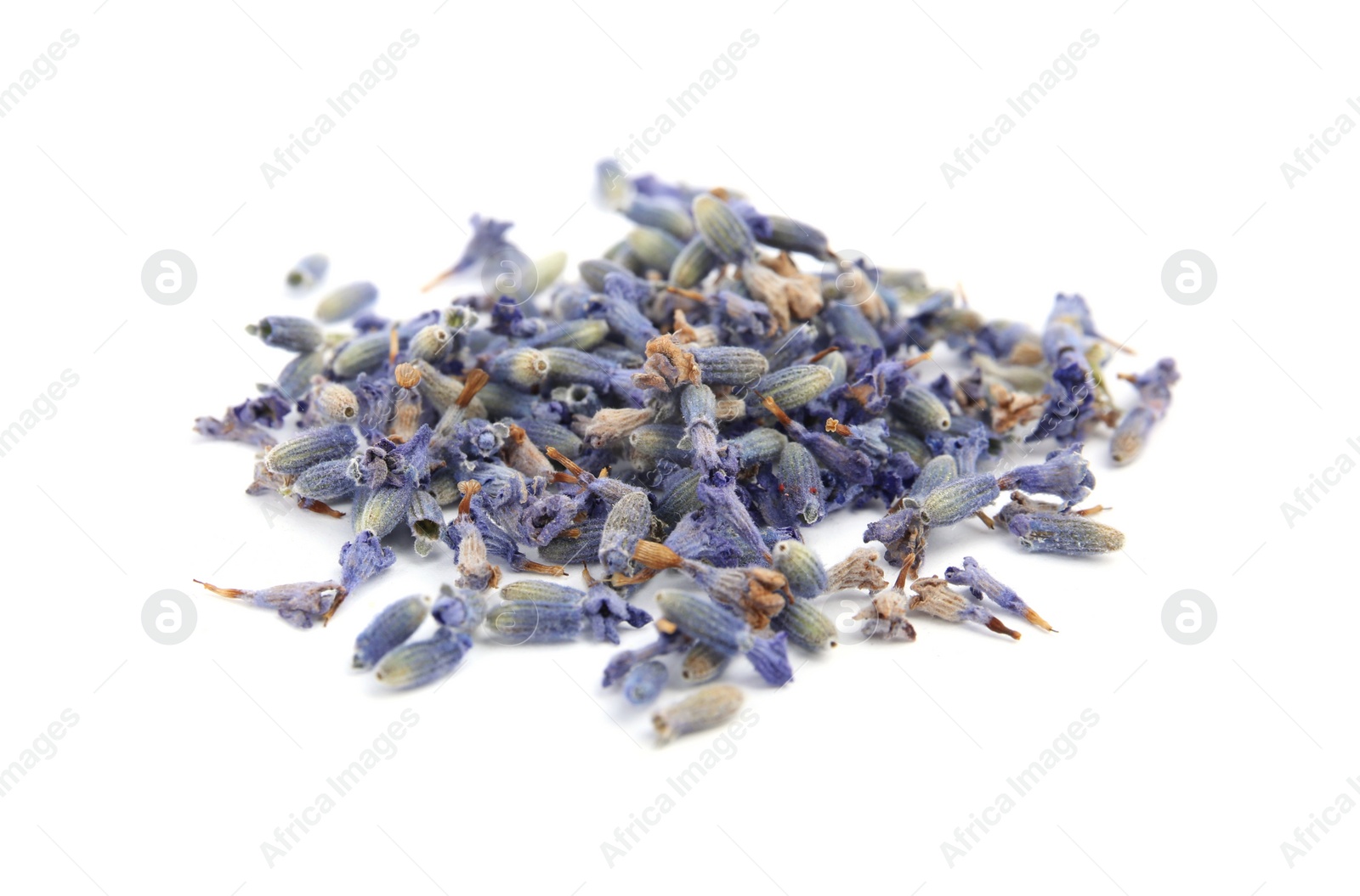 Image of Heap of beautiful lavender flowers on white background