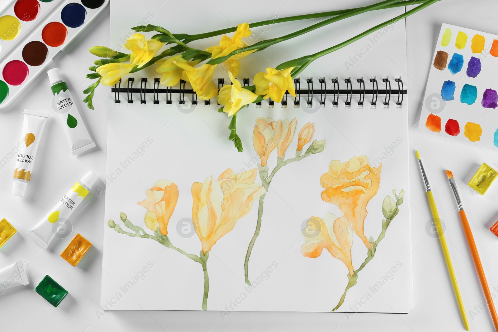 Photo of Painting of freesias in sketchbook, flowers and art supplies on white background, top view