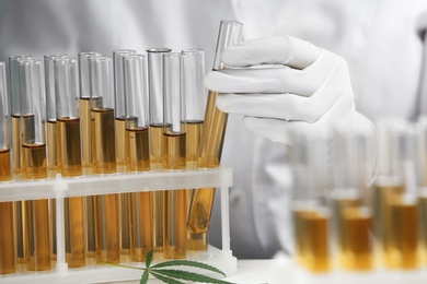 Photo of Doctor taking test tube with urine sample for hemp analysis, closeup