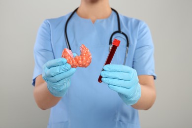 Photo of Endocrinologist showing thyroid gland model and blood sample on light grey background, closeup