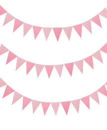 Image of Pink triangular bunting flags on white background. Festive decor