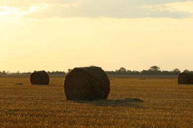 Photo of Beautiful view of agricultural field with hay bales