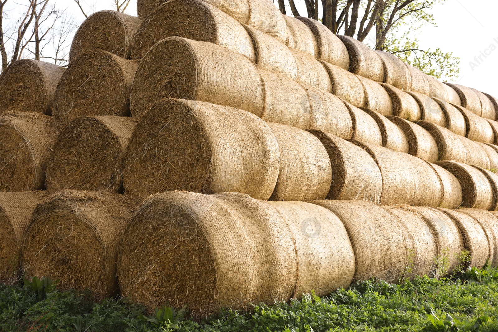 Photo of Many hay bales on green grass outdoors