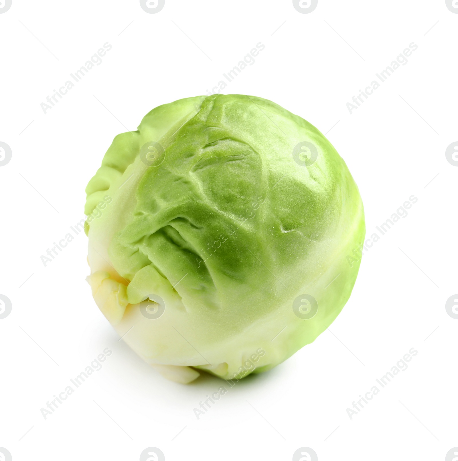 Photo of Fresh tasty Brussels sprout on white background