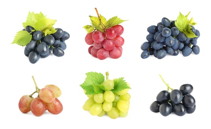 Image of Set of fresh grapes on white background