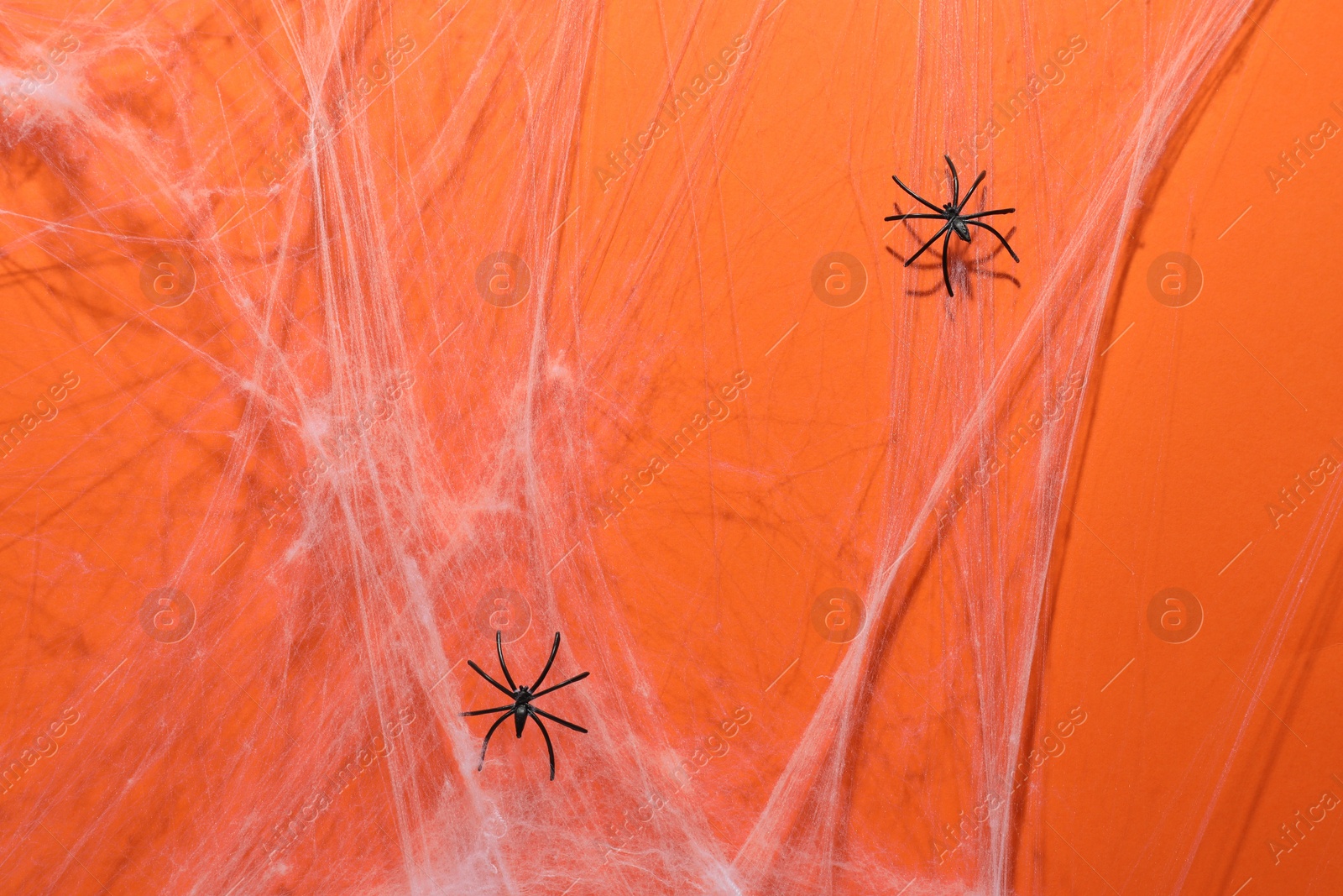 Photo of Cobweb and spiders on orange background, top view