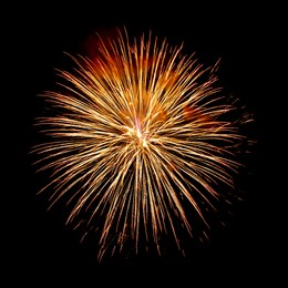 Image of Beautiful bright fireworks lighting up night sky