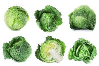 Image of Set of various fresh ripe cabbages on white background