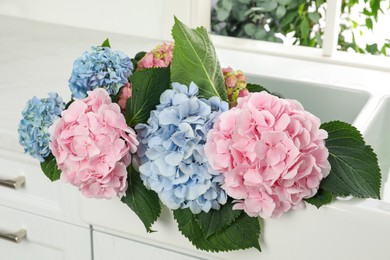 Photo of Beautiful light blue and pink hortensia flowers in kitchen sink