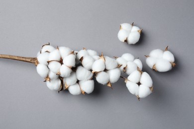 Branch with cotton flowers on light grey background, top view