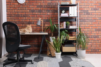 Photo of Beautiful cat sitting on desk near plants at home