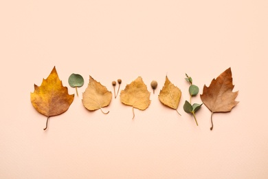 Photo of Flat lay composition with autumn leaves on light background