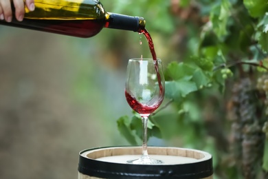 Photo of Woman pouring red wine into glass on barrel in vineyard