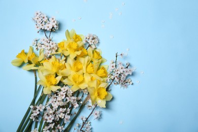 Photo of Beautiful yellow daffodils and cherry blossom on light blue background, flat lay. Space for text