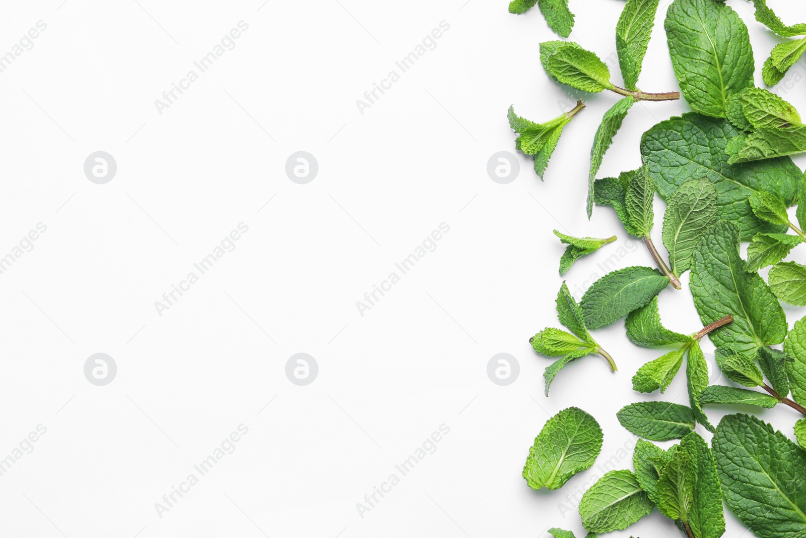 Photo of Fresh green mint leaves on white background, top view