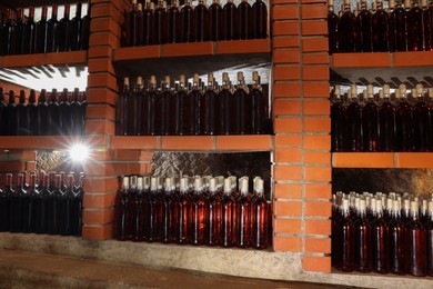 Many bottles of wine stored on shelves in cellar