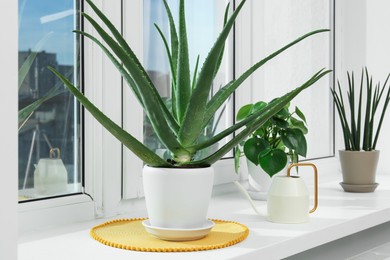 Green aloe vera in pot, houseplants and watering can on windowsill