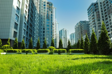 Photo of Beautiful view of fresh green grass growing near modern housing estate outdoors