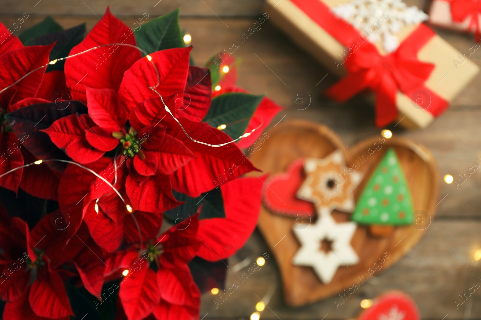 Photo of Poinsettia (traditional Christmas flower) and holiday items on wooden table, top view. Space for text