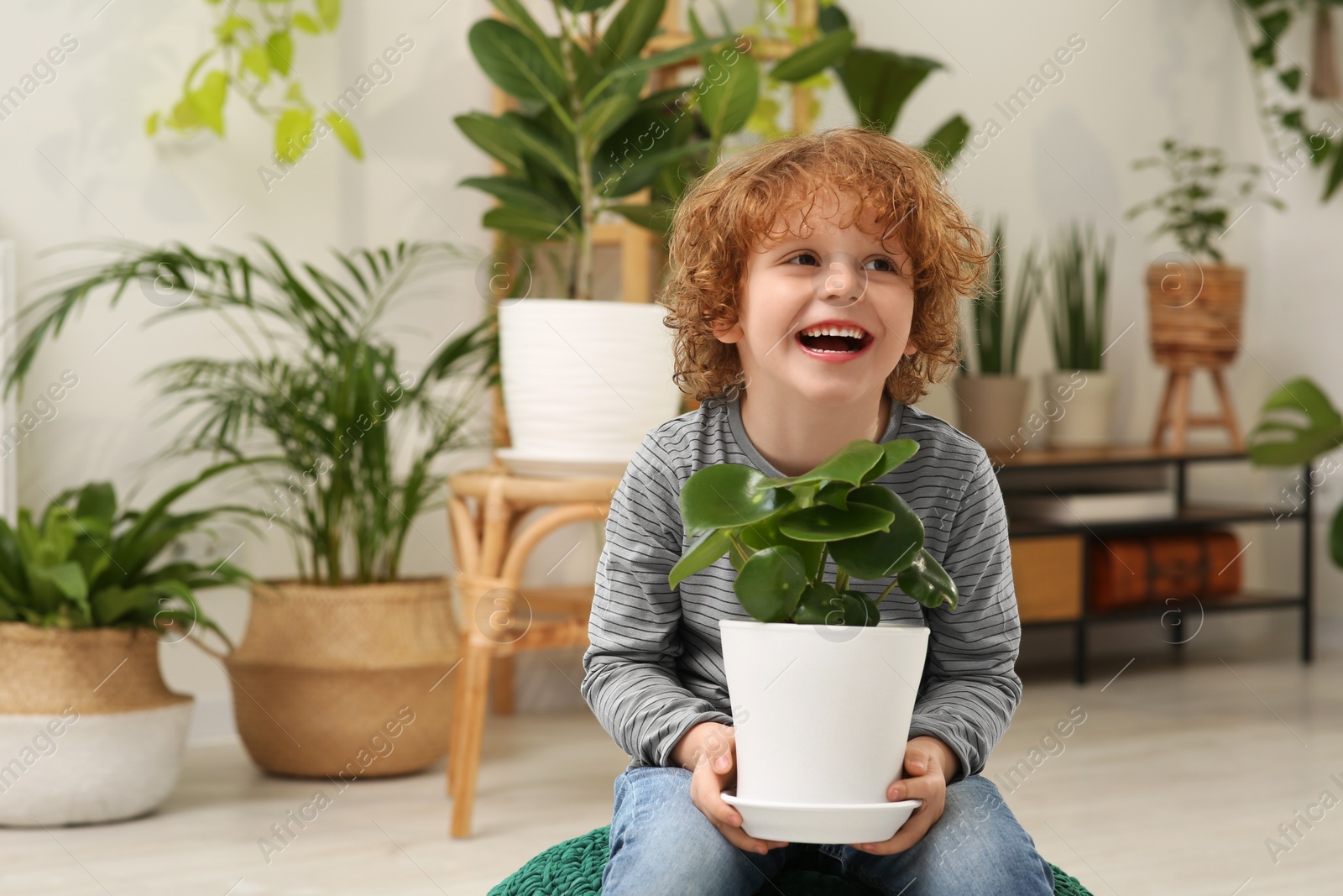 Photo of Cute little boy holding beautiful green plant at home. House decor