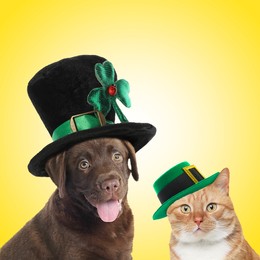 St. Patrick's day celebration. Cute dog and cat in leprechaun hats on yellow background