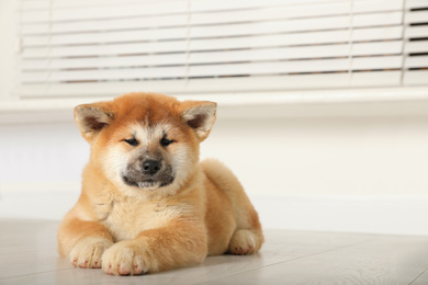 Photo of Cute Akita Inu puppy indoors. Baby animal