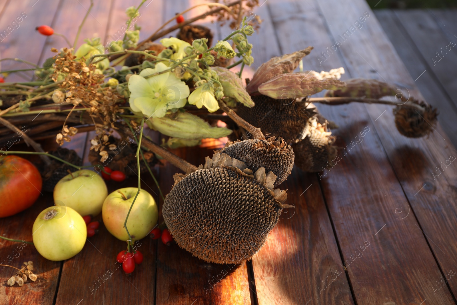 Photo of Composition with beautiful flowers, dry sunflowers and apples on wooden table outdoors, closeup. Autumn atmosphere