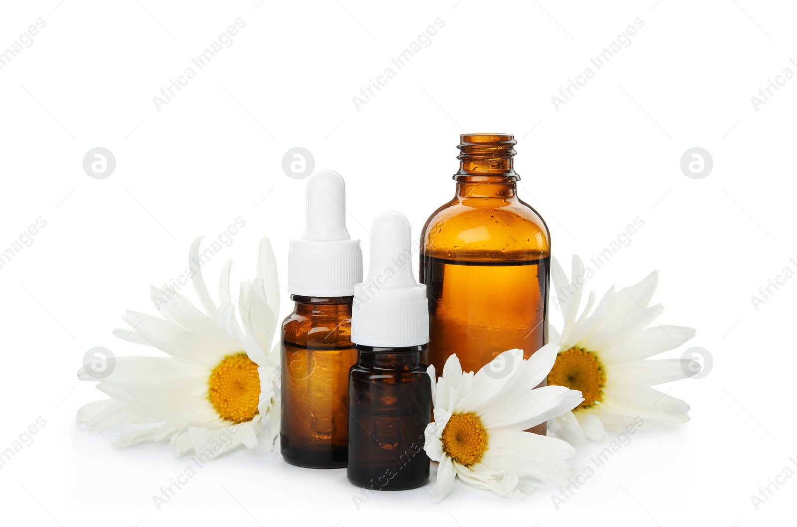Photo of Composition with essential oil and flowers on white background