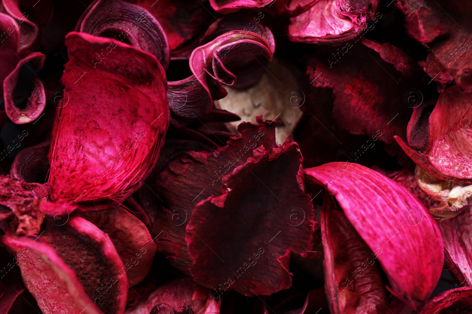 Photo of Scented potpourri of dried flowers as background, closeup