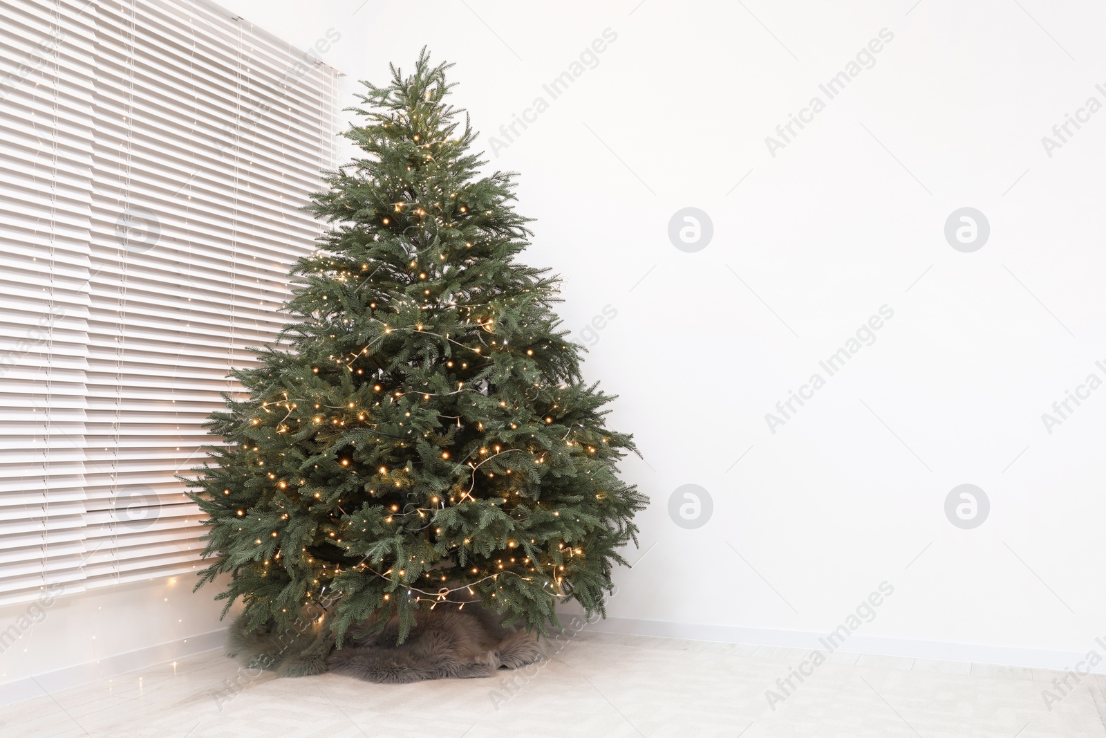 Photo of Beautiful Christmas tree with golden lights indoors