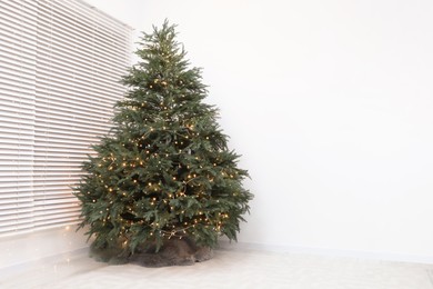 Beautiful Christmas tree with golden lights indoors