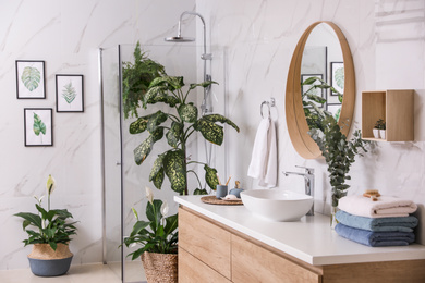 Photo of Green plants in elegant modern bathroom. Interior design