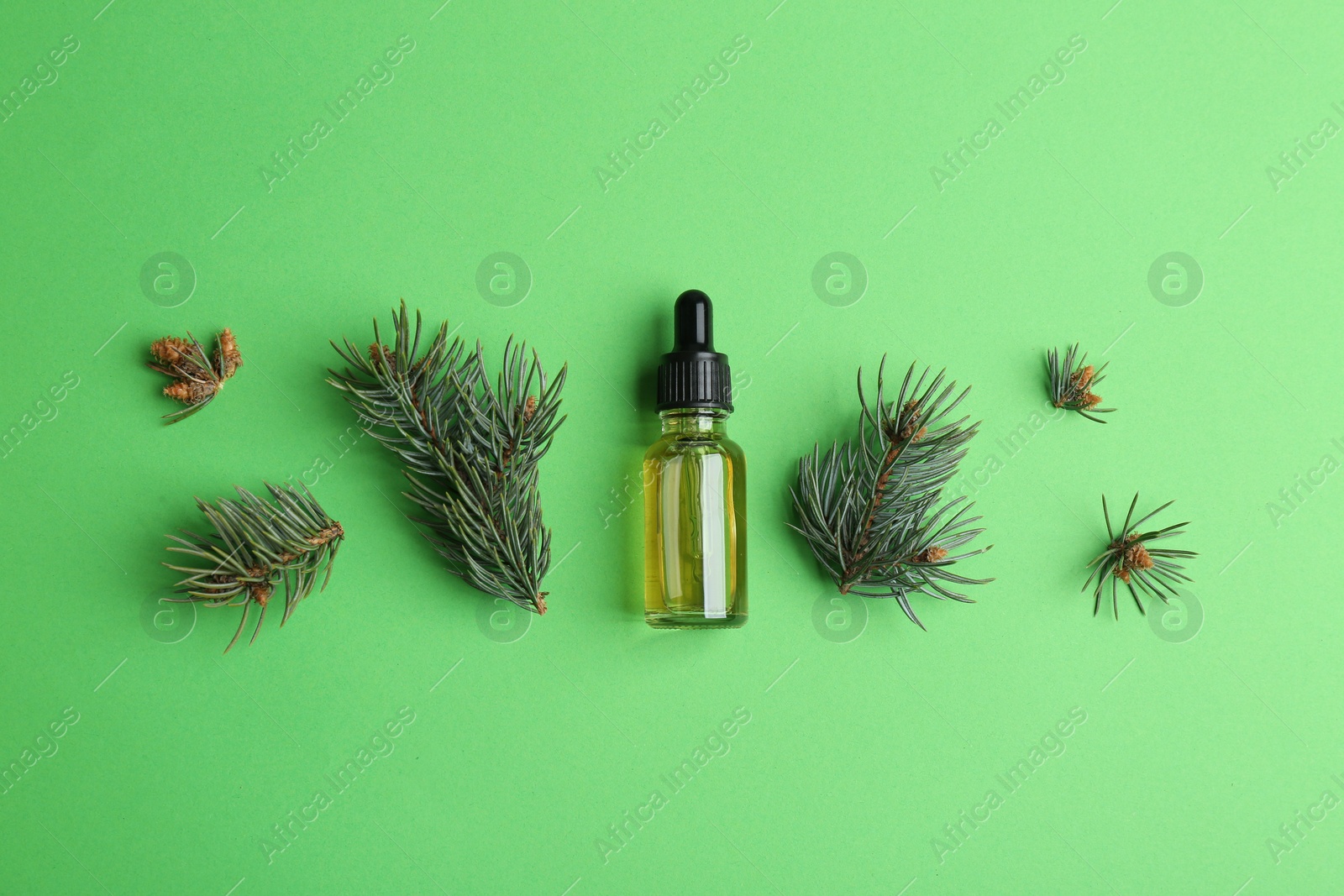 Photo of Little bottle with essential oil and pine branches on color background, flat lay