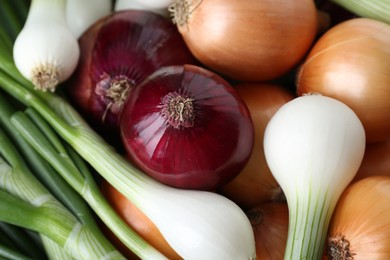 Photo of Different kinds of onions as background, closeup