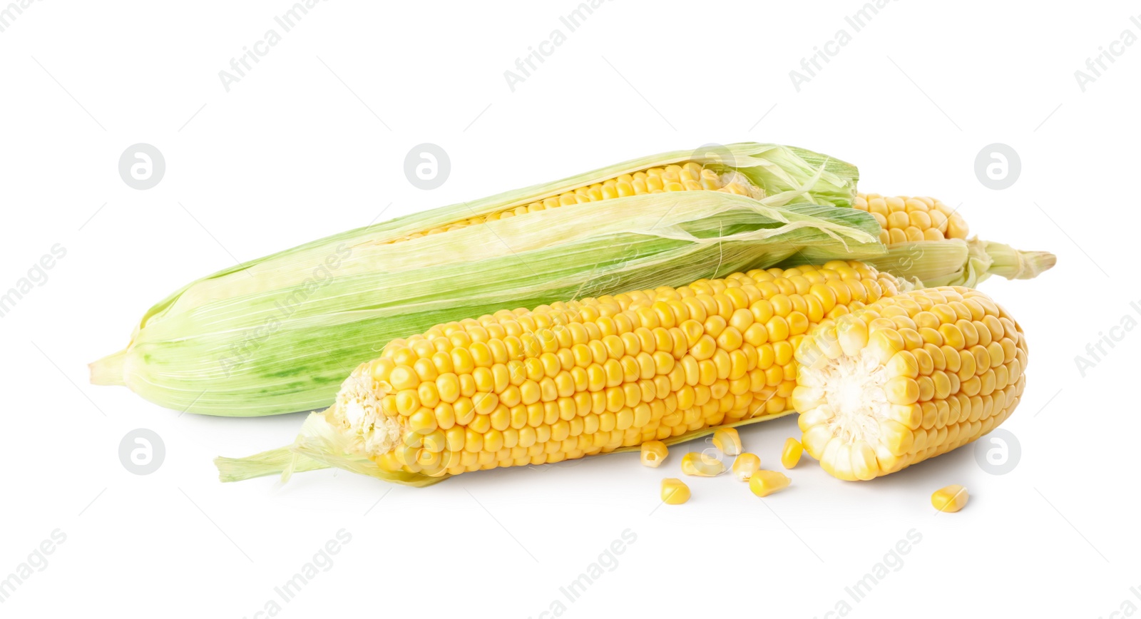 Photo of Ripe raw corn cobs on white background