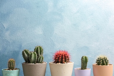 Photo of Beautiful cacti on color background
