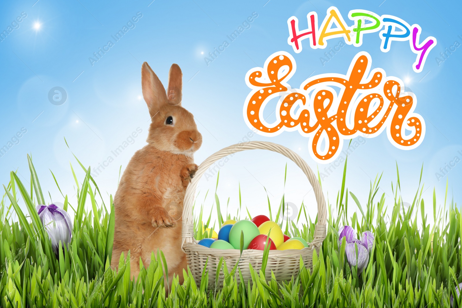 Image of Happy Easter. Adorable bunny near wicker basket with dyed eggs on green grass outdoors