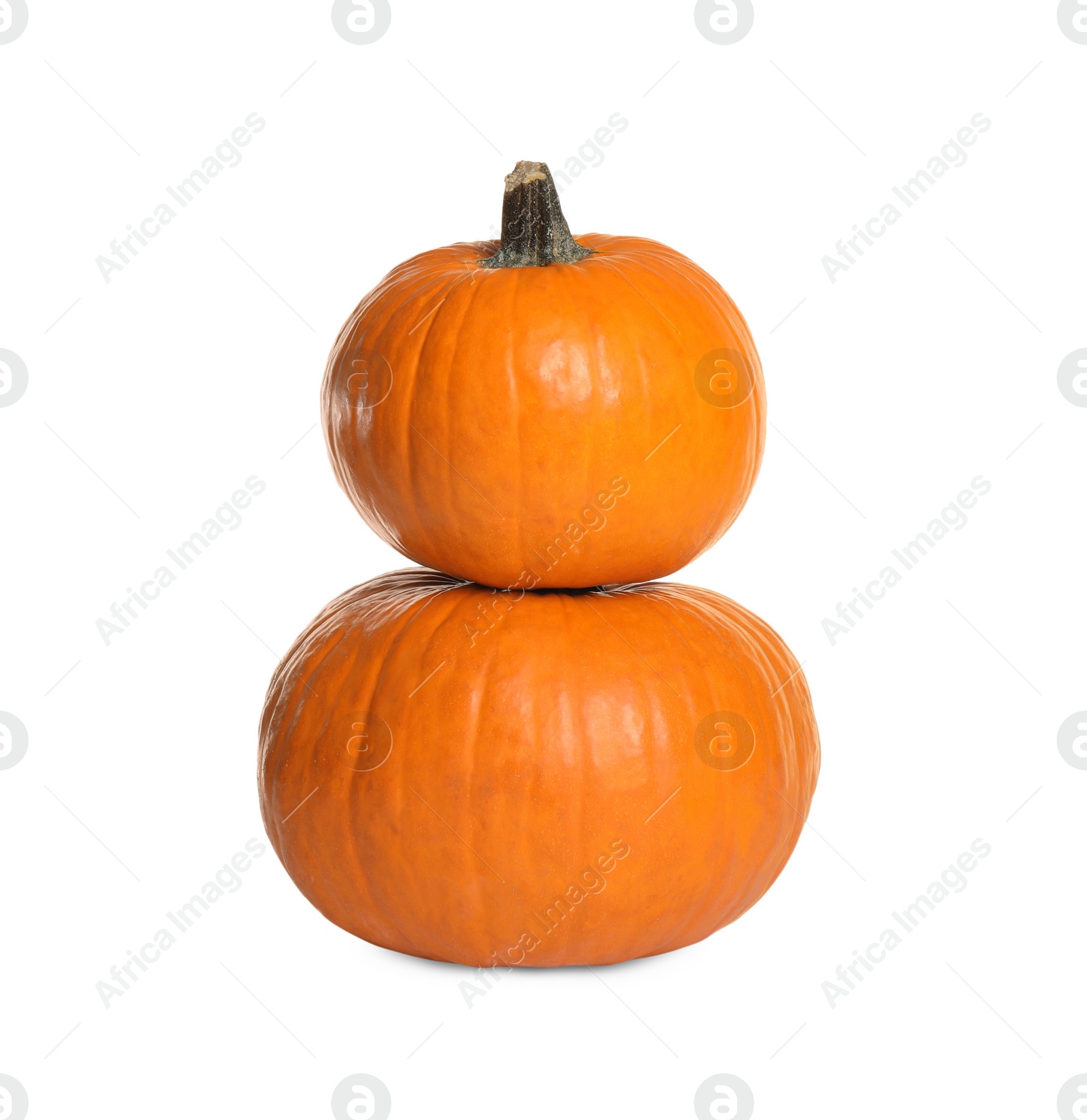 Photo of Fresh ripe pumpkins isolated on white. Organic plant