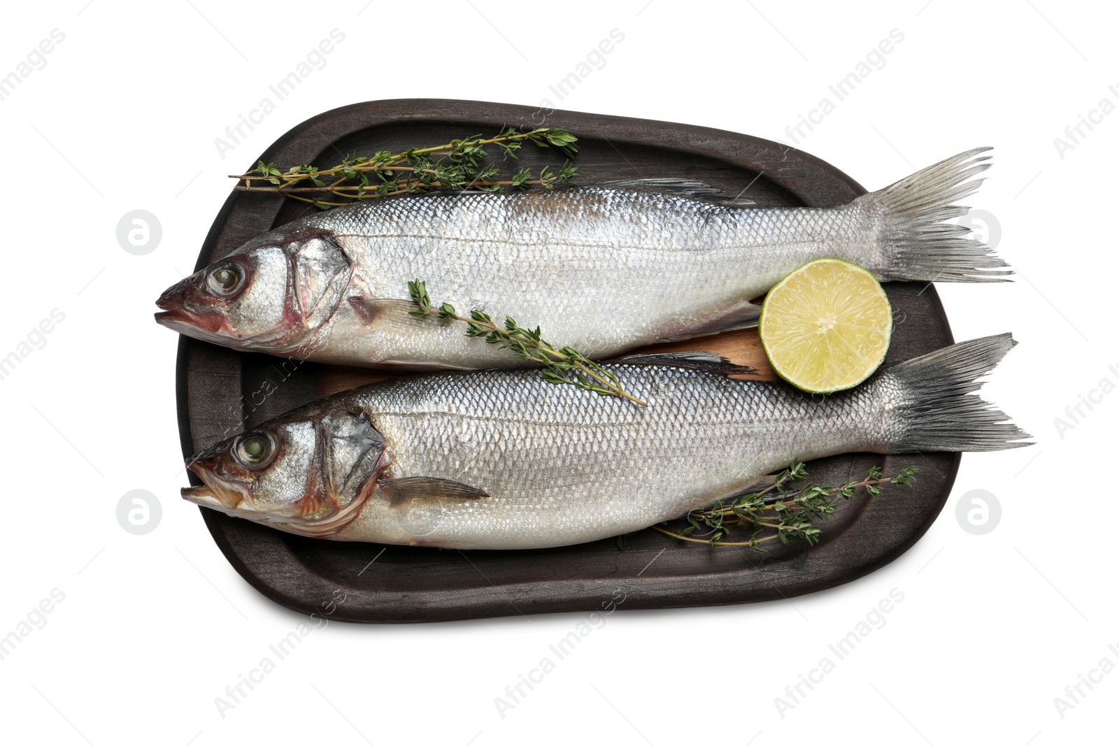 Photo of Tasty sea bass fish and ingredients isolated on white, top view