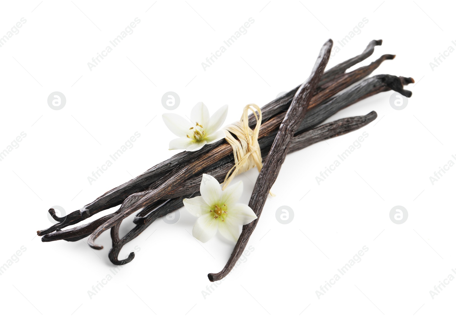 Photo of Vanilla pods and flowers isolated on white