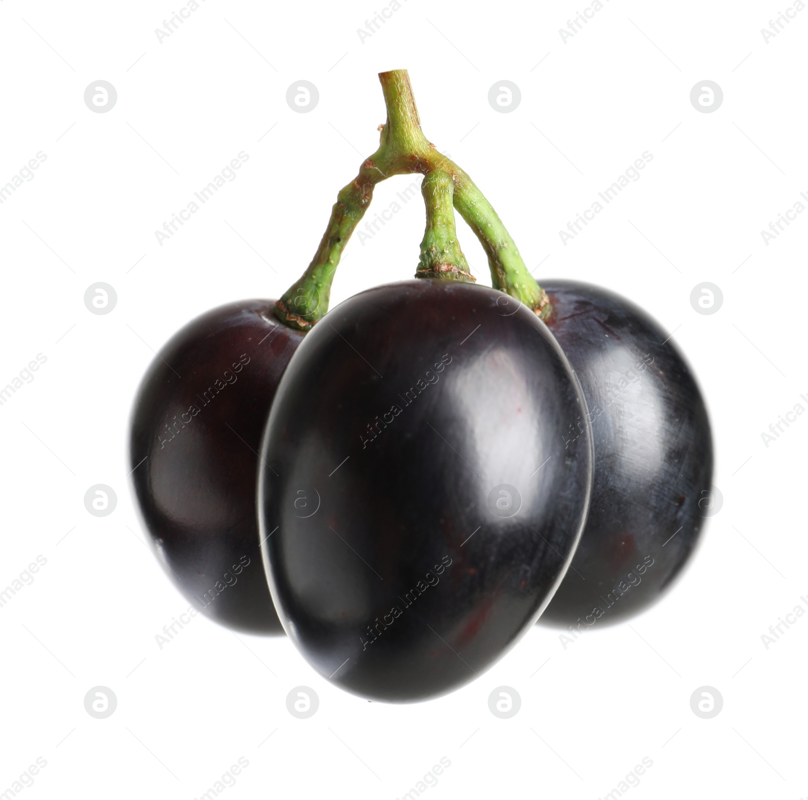 Photo of Fresh ripe juicy grapes isolated on white