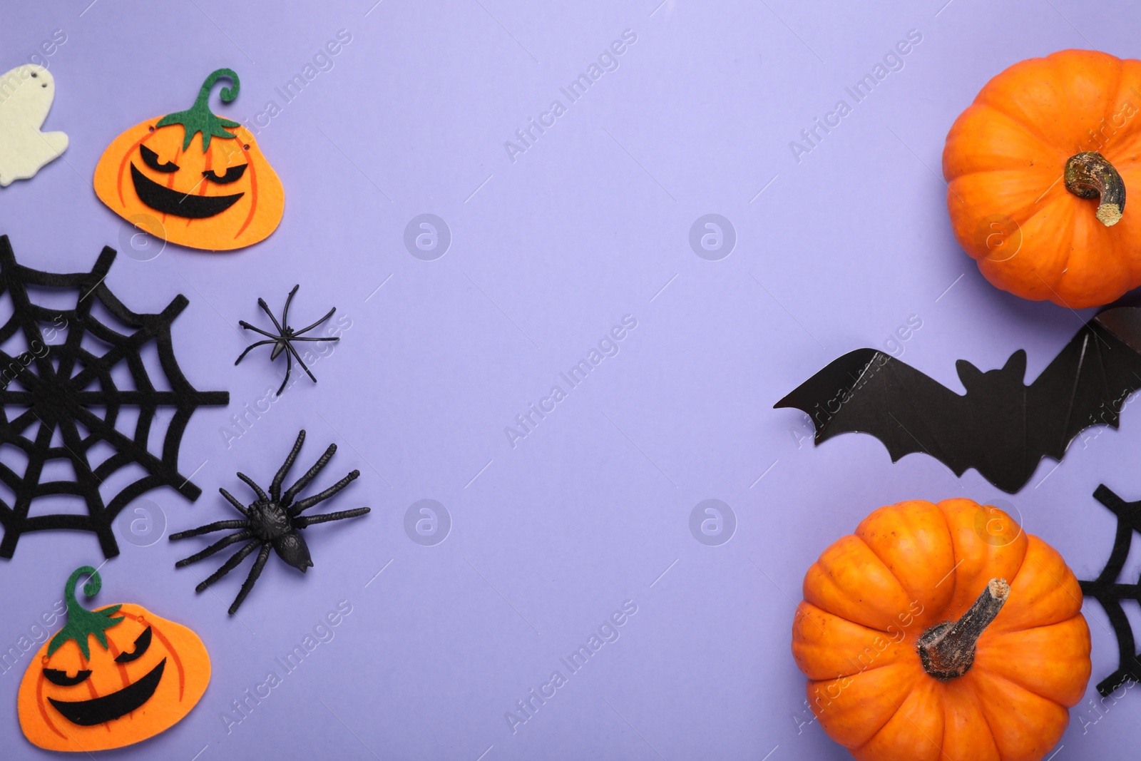 Photo of Flat lay composition with bat, pumpkins and spiders on purple background, space for text. Halloween celebration