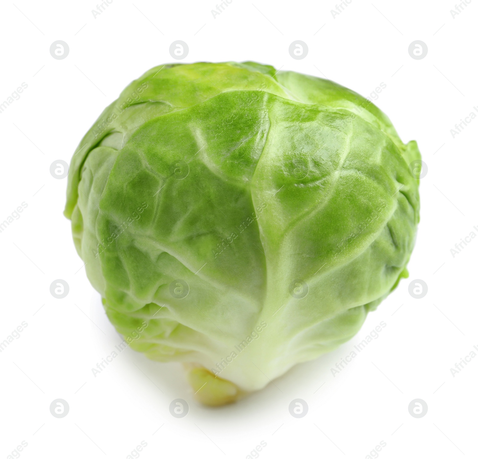 Photo of Fresh tasty Brussels sprout on white background