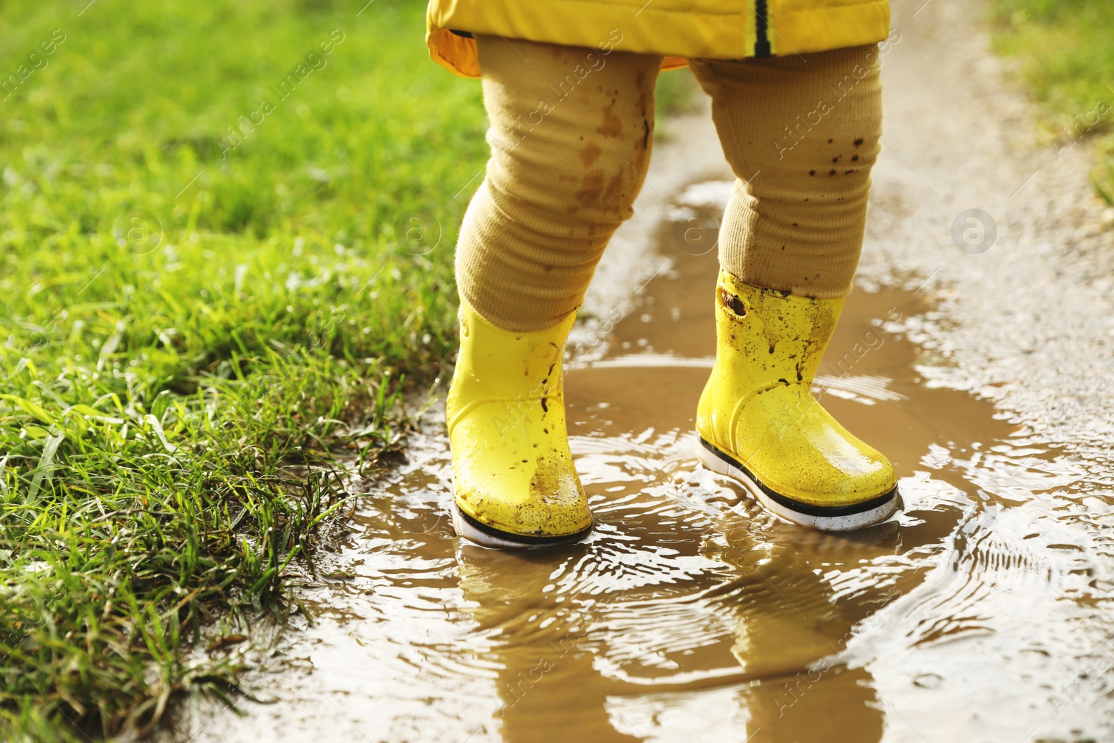 Photo of Little girl wearing rubber boots walking in puddle, closeup