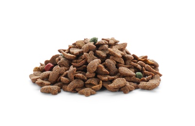 Pile of dry pet food on white background