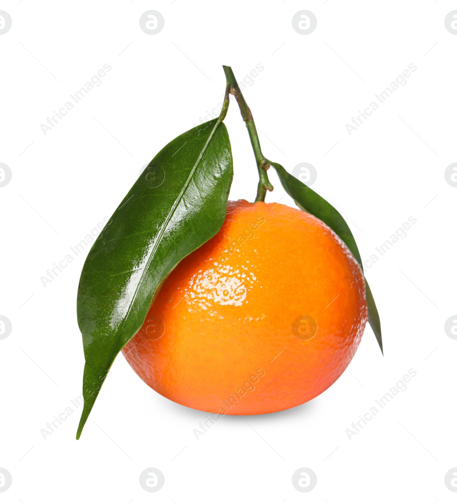 Photo of One fresh tangerine with green leaves isolated on white